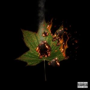 Riesco a capirti (feat. Ayden Lau)