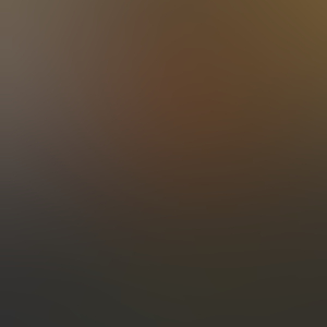 着载获灌(52).wav