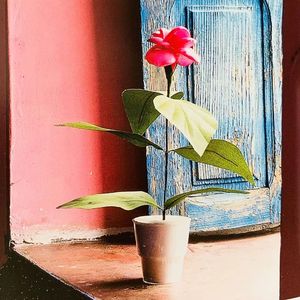 LADY（cover 米津玄师）