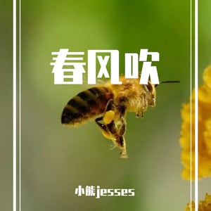 春风吹（cover方大同）