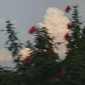 后来的风吹过都是“薛定谔”(Prod by BECU BEATZ)