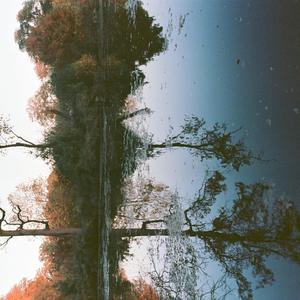 Titus (feat. Ari Folman-Cohen, Ran Livneh, Michael Isvara Montgomery & Scott Colberg)