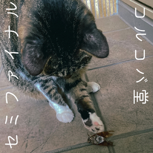 俺ら東京さ行ぐだ (Cover)