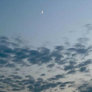 情人劫 山东泰安