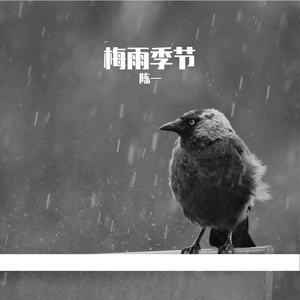如果雨不下