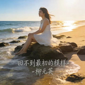 回不到最初的模样 (烟嗓版)