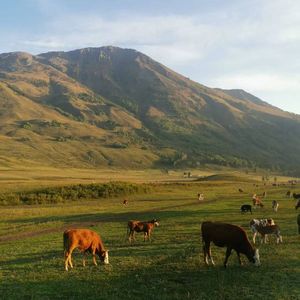 儿时的妈妈(清唱）