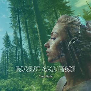 Calmer (Forest Sounds)