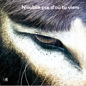 N'oublie pas d'où tu viens