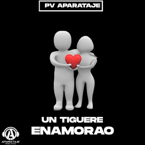 Un Tiguere Enamorao - Pv Aparataje