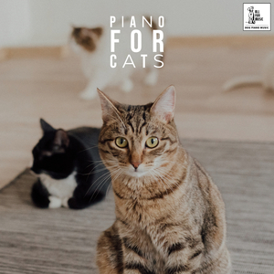 Music For Cats To Fall Asleep