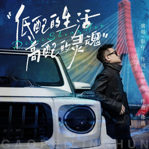 低配的生活高配的灵魂（DJ默涵版）