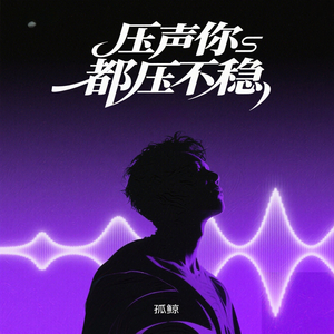 压声你都压不稳 (江湖版)