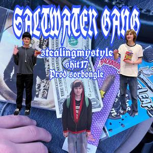 Saltwater Gang (feat. StealingMyStyle & Shit17)