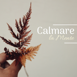 Physical Relaxation Exercises