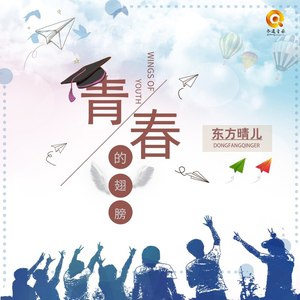 青春的翅膀