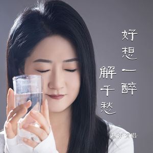 好想一醉解千愁
