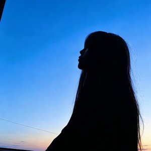 只羡鸳鸯不羡仙