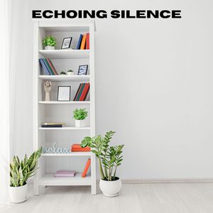 Echoes in the Silence (Loopable, No Fade)