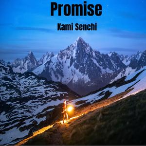 Promise
