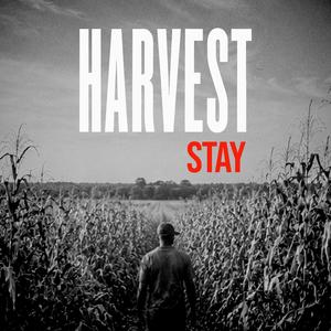 Stay (feat. Tiffany Monique)