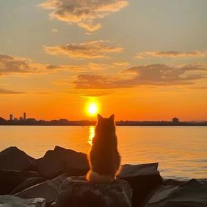 想在黄昏中 亲吻晚间风