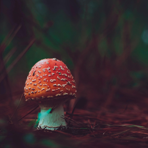 We Refuse to Be Worn Out