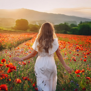 Una Velada Apacible Con Calidez Y Calma En El Aire