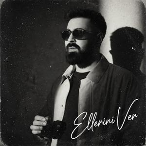 Ellerini Ver