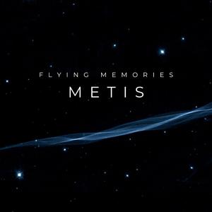 Metis (Extended Version)