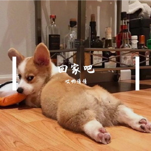 来不及感谢-纯音乐