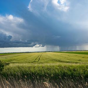 The Plains Under the Soft Storm (Original Motion Picture Soundtrack)