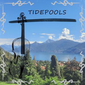 Tidepools