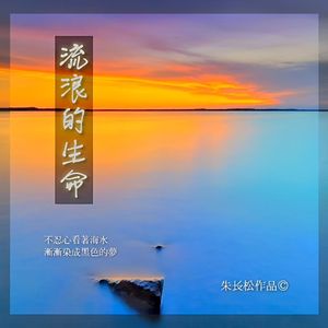 朱长松-流浪的生命