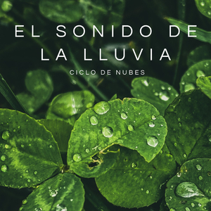 Meditación Bajo La Lluvia