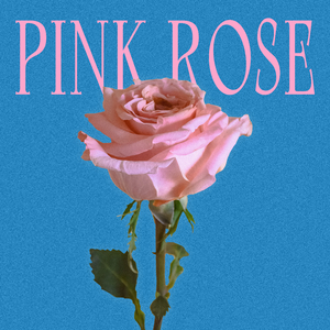 PINK ROSE
