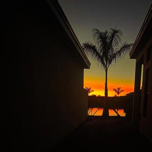 Analogs (feat. Kid Cole)