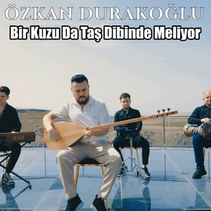 Bir Kuzu Da Taş Dibinde Meliyor