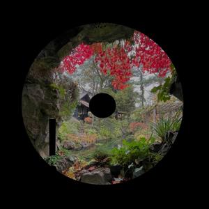 PARTYNBULLSHITT! (LEUM REMIX)