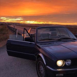 Carry a lazy sheep sheep