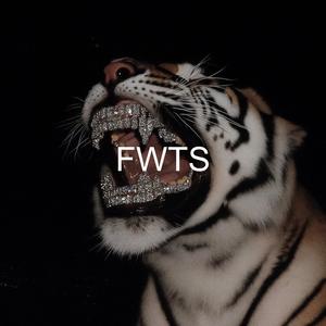 FWTS
