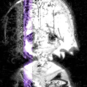 【Animenz】--鸟之诗op