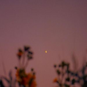 选择（微醺版）