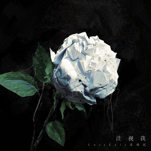 注视我(Instrumental)