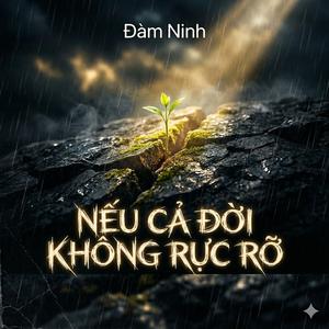 Nếu cả đời không rực rỡ