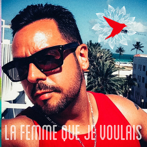 La femme que je voulais