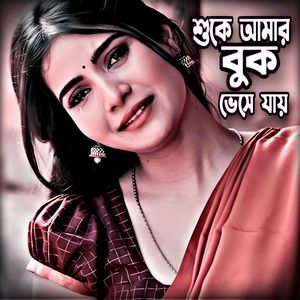 শুকে আমার বুক ভেসে যায় (Lofi Version)