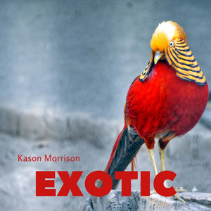 Exotic