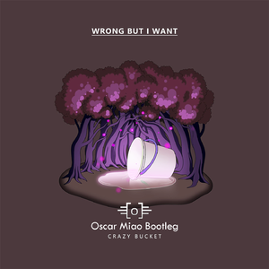 Crazy Bucket-Wrong But I Want（Oscar Miao remix）