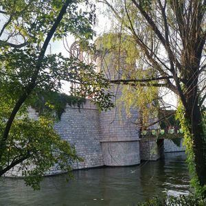 漂洋过海来看你